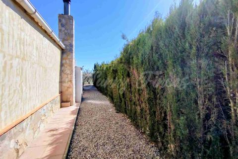 Landejendom i Caudete, Albacete, Caudete - € 149.950 | Ref: SF0574 - foto 32